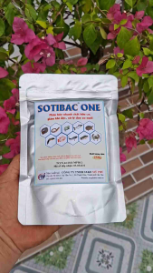 SOTIBAC ONE 250g Men Vi Sinh Thủy Sản Phân Hủy Chất Hữu Cơ Giảm Khí Độc Xử Lý Đáy Ao Nuôi