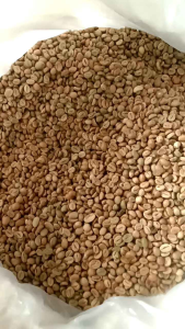 Greenbean Robusta Temanggung Grade 1 1kg