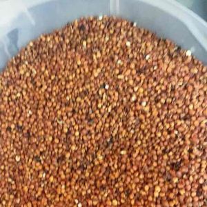 Clean fresh Red guinea corn grain from Africa 1kg