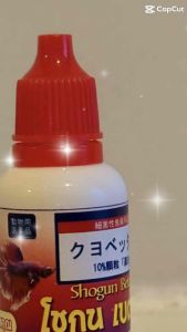 โชกุนเบต้าเรดโด๊ป ใช้ปรับสภาพน้ำบำบัดน้ำ คึก เขี้ยว สู้ ดุดัน