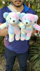 ตุ๊กตาหมีสีพาสเทล 11นิ้ว น่ารัก ถูก A ป้าย มอก, ราคาถูก!