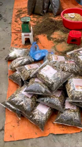 Trà sơn mật hồng sâm loại 1 - túi 1kg - trà mát gan thanh nhiệt giải độc giúp đẹp da trà ngọt tự nhiên