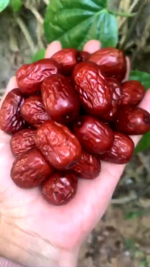 Táo đỏ Tân Cương- Túi zip 1kg- Giúp bổ máu an thần dễ ngủ