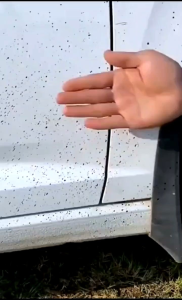 The best Sticker grease spots Dirt Bird Shit Removal cleaner excellent decontaminating cleansing and shinning effect. 卡柏油清选剂白色汽车用沥青清沽剂去除剂除胶剂