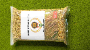 Benih padi beras ketan putih unggul per 1 kg