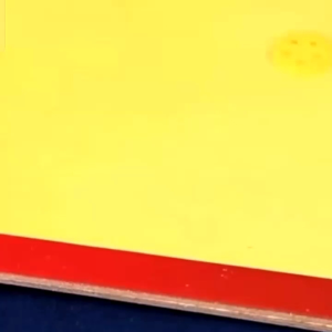 lem tikus 20x30cm buku perangkap tikus buku lem jebakan tikus perangkap curut kecoa cicak