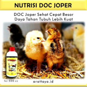 VITAMIN DOC ANAK AYAM JOPER STAMINA SUPER CEPAT BESAR 500 cc / vitamin anak ayam / nutrisi anak ayam