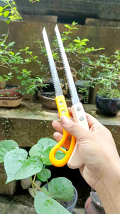 Gergaji Bonsai Import Taiwan: Alat Tukang Bonsai Berkualitas