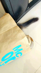 Hus hus Cat and Rat Repellent 250 ml spray pengusir kucing dan tikus agar tidak pee dan poop di sembarang tempat spray anti Semut / Nyamuk mengusir semut dan nyamuk
