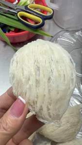 Yến House - Yến Tinh Chế Nguyên tổ Loại 1 - Hộp 100GR