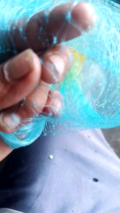 daun jala pelangi belum ada pemberat panjang 3.5 meter senar 0.25