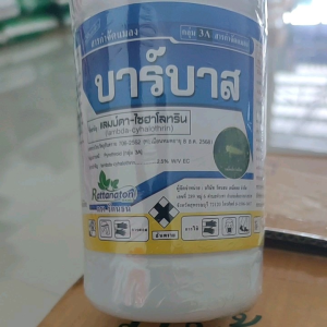 บาร์บาส