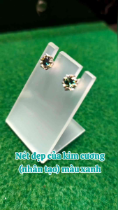 Đôi Bông Tai Bạc Ý Xi Kim Đính Kim Cương Nhân Tạo