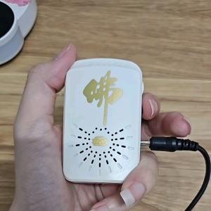 Máy tụng kinh - niệm phật thu sẵn 5b màu trắng nhỏ gọn