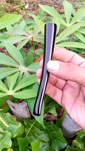 Pipa Kayu Gali Kelor Hitam 11cm