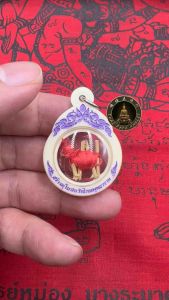 Thai Amulet 天令神符 Phor Phan (婆潘) Luang Phor SomSak Wat SaPraRian