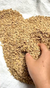 kemasan benih padi huma beras merah khusus darat