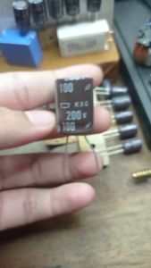 Elko 200v 100uf Original (isi 5pcs )