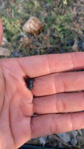 (แพค100ตัว/ถุง)ปลั๊กอุดซ่อม PE 4-5 mmตัวอุดรู ท่อพีอี PE สายไมโคร หัวผีเสื้อ หัวเจ็ท มินิสปริงเกอร์ ท่อพีอี PE สายไมโคร