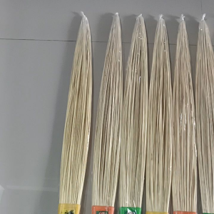 Sapu tebah lakop plastik
