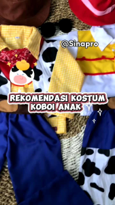 Kostum Anak Toy Story & Kostum Cowboy Zorro Slayer