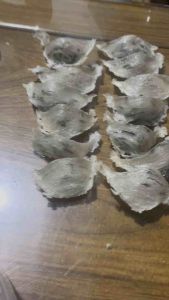 100gram TỔ YÊN THÔ NGUYÊN TỔ YẾN TRẮNG SẠCH Shop tặng đường phèn táo đỏ hat chia và nhíp nhặt lông