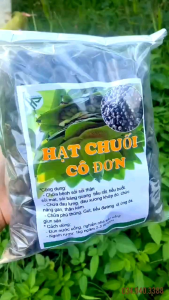 1kg Hạt Chuối hột rừng Cô Đơn loại 1 Thượng hạng chuối chân voi hột lớn mồ côi đánh bay sỏi thận tốt cho tiểu đường