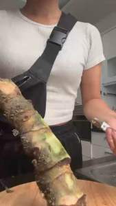 [Combo 3kg] Củ rau móp tươi đào từ sông