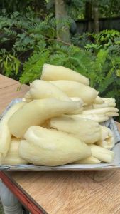 [Combo 5kg] Củ mì khoai mì tươi