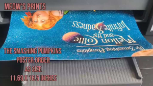 The Smashing Pumpkins Band A3 Size 220 GSM Poster Wall Room Decor