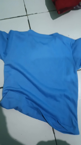 Buyer review video 2