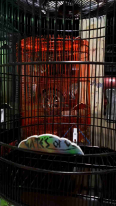 Sangkar Murai Harian Murmer no 2 dan 3