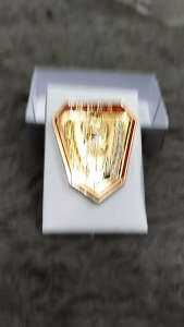 Brevet Wing Batih Muda: Desain Ergonomis & Aksesoris Olahraga