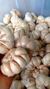 1kg bawang putih bersih