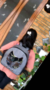 Tas Ransel Kucing Series: Desain Lucu & Praktis