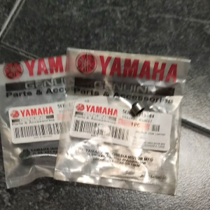 SEAL SIL KLEP VALVE MIO J MIO M3 MIO SOUL GT JUPITER Z1 ORIGINAL YAMAHA 2 PC