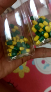 kapsul Undur undur hidup isi 25pcs