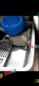 Kalung & Bak Sekup pasir1Kg Tempat makan Kucing murah 1 set