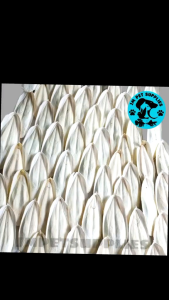 Cuttlebone for birds 1 piece