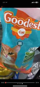 Goodest Premium Adult Cat Food 1KG Complete Balanced Nutrition Healthy Skin Coat Digestive Support