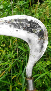 Arit Rumput Cap Dewi bintang