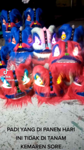 ((PROMO 21HARI)) BARONGSAI MATA LAMPU/BARONGSAI MENYALA LED