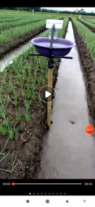 perangkap hama energi matahari Perangkap Hama Ramah Lingkungan Alat Pengendalian Hama Efisien Teknologi Energi Terbarukan Untuk Pertanian - Lazada