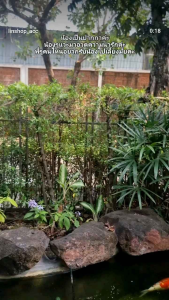 ปากกา Pop Bean ของแท้ งานลูกปัด Handmade งานละเอียด งานดีไซน์คนไทยแต่ละชิ้นไม่ซ้ำ 🇹🇭 พร้อมส่งจากไทย