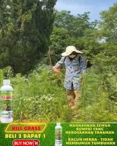 BELI 3 GRATIS 1 Kill Grass herbisida biologis pembasmi gulma original tanpa merusak tanaman