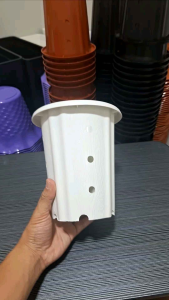 GROSIR 1/2 LUSIN Pot Gaharu 17 / Pot Tinggi Lubang / Pot Tanaman / Pot Bunga /Pot Plastik / Pot Anggrek