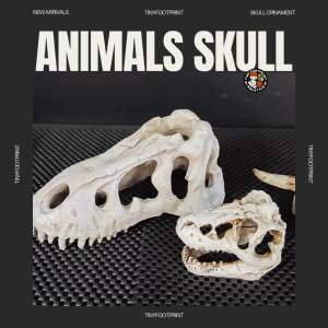 Decorative dinosaur/animals skull ornaments perfect for terrariums isopod setups reptile enclosures or home display.