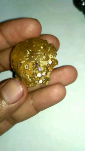 mustika sarang klanceng