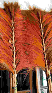 Jual Home Dekor Rayung Kering Pampas Rayung/Beli 2 GRATIS 2 BAMBU ULIR