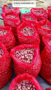 bawang merah brebes fresh 1kg